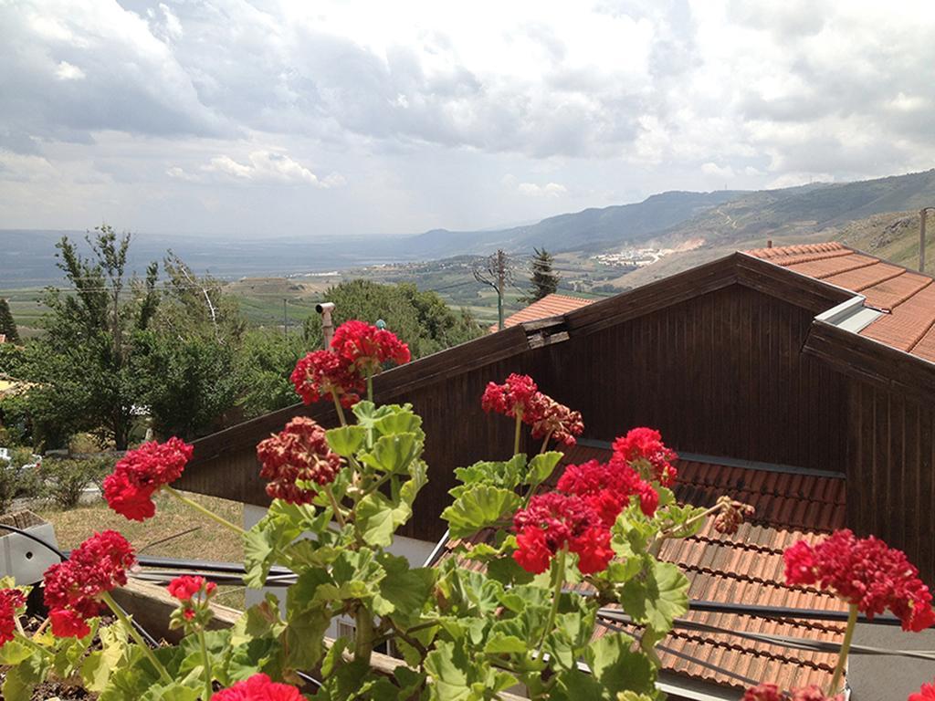 Villa Mina Teva à Metula Extérieur photo